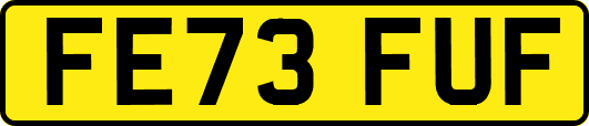 FE73FUF
