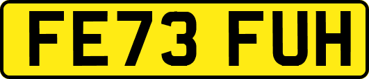 FE73FUH