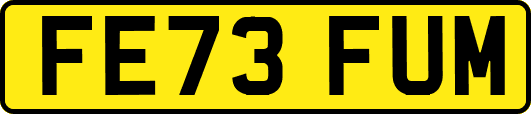 FE73FUM