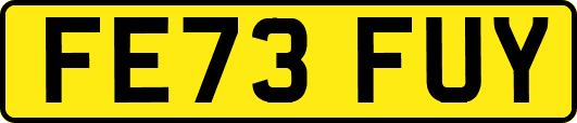 FE73FUY