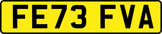 FE73FVA