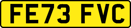 FE73FVC