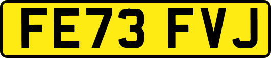 FE73FVJ