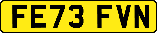 FE73FVN
