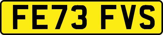 FE73FVS
