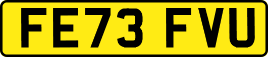 FE73FVU