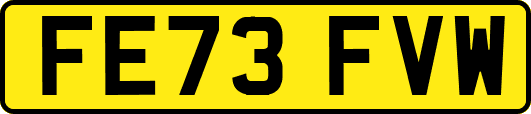 FE73FVW