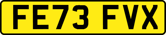 FE73FVX