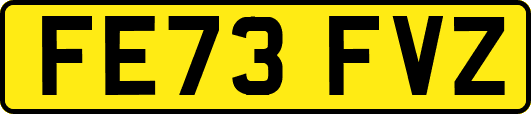 FE73FVZ