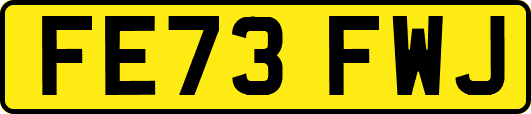 FE73FWJ