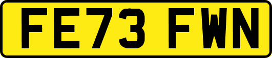 FE73FWN