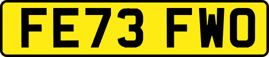 FE73FWO
