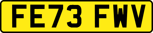 FE73FWV