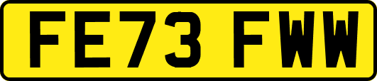 FE73FWW