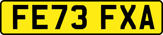 FE73FXA
