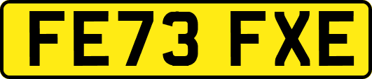 FE73FXE