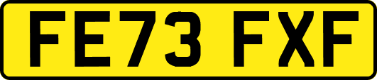 FE73FXF