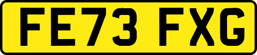 FE73FXG