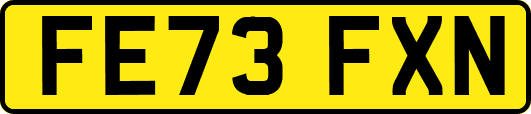 FE73FXN