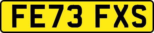FE73FXS