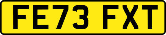 FE73FXT