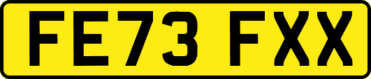 FE73FXX