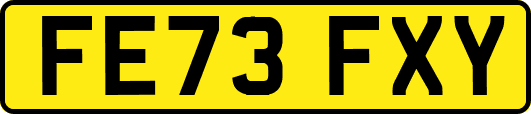 FE73FXY