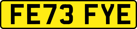 FE73FYE