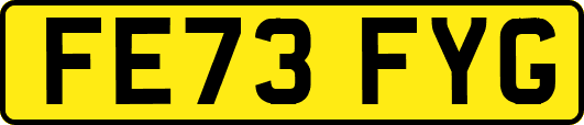 FE73FYG