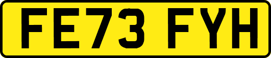 FE73FYH