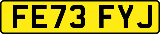 FE73FYJ