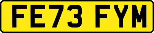 FE73FYM