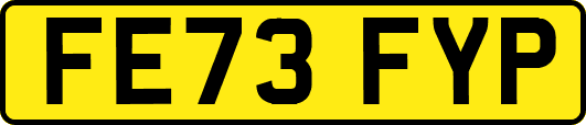 FE73FYP