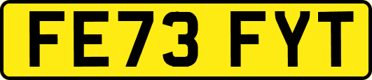 FE73FYT