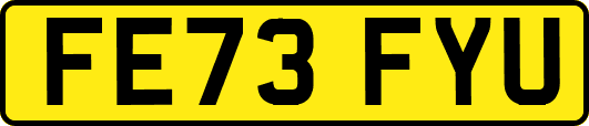 FE73FYU