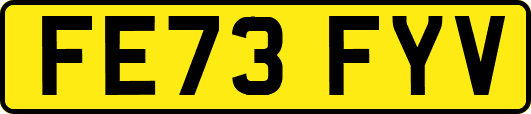FE73FYV
