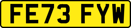 FE73FYW
