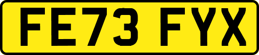 FE73FYX