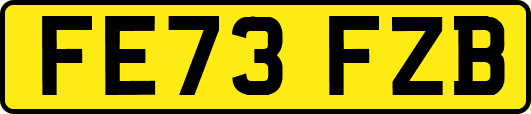 FE73FZB