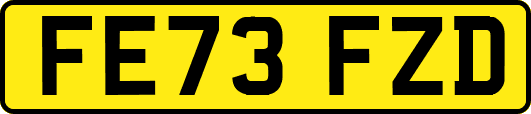 FE73FZD