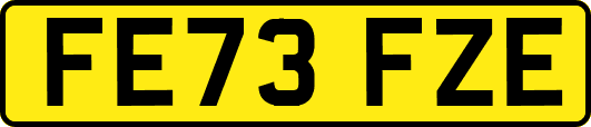 FE73FZE