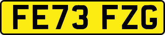 FE73FZG