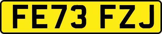 FE73FZJ