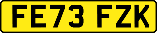 FE73FZK