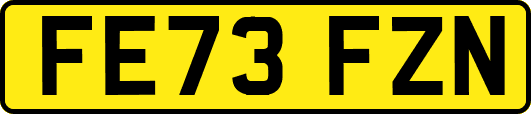 FE73FZN