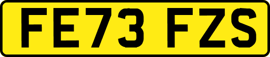 FE73FZS