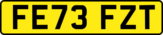 FE73FZT
