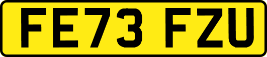 FE73FZU