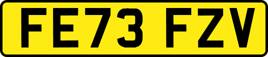 FE73FZV