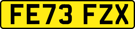 FE73FZX